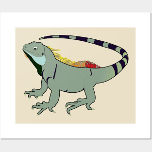 Iguana Posters and Art